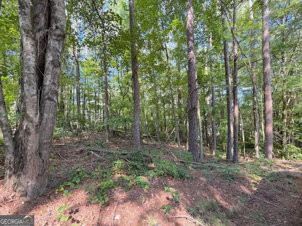 1306 Southgate Dr, Villa Rica, GA 30180