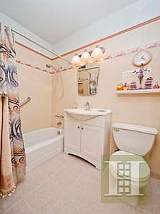 5th image of 415 Grand St APT E1705