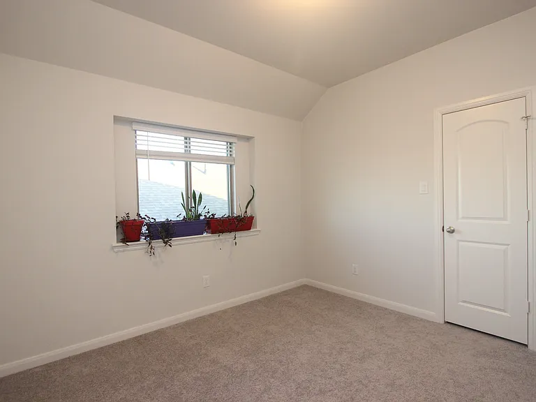 3810 Honeycomb Holw — Photo 21