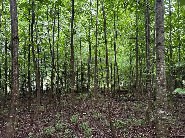 8 Saw, Palmer, TN 37365