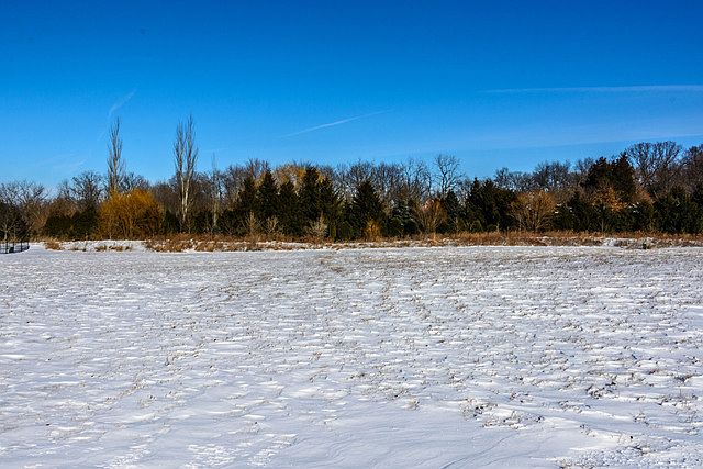 1st image of 8105 Shadow Creek Ln Lot 5