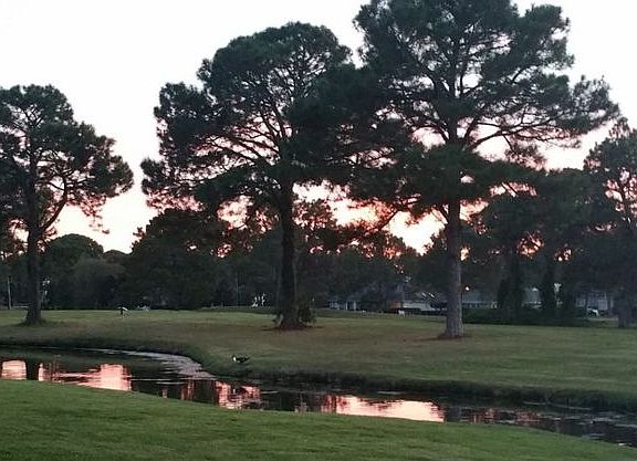 4th image of 624 Amberjack Dr