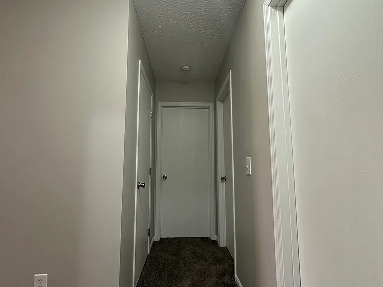 2 bedroom - 1 bath in phase 2 (carpet in hallway)