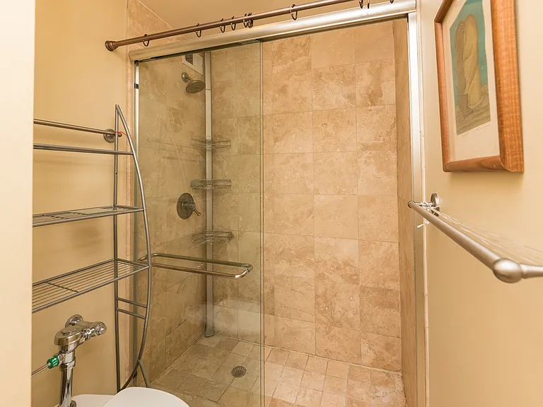 222 E Pearson St #706 — Photo 12