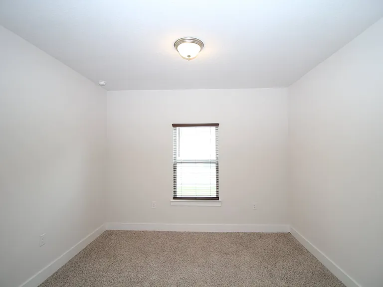 4117 Heart Pine Ln — Photo 11