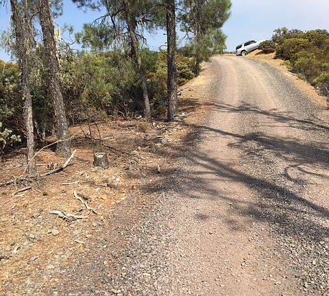 Road East side of property