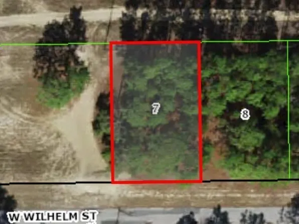 3131 W Wilhelm St, Citrus Springs, FL 34433
