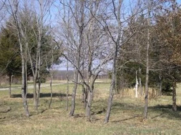 2294 State Highway 64, Louisburg, MO 65685