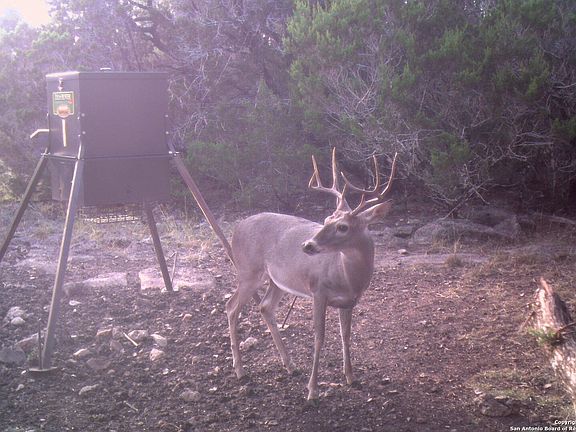 3rd image of 289 Private Road 3512