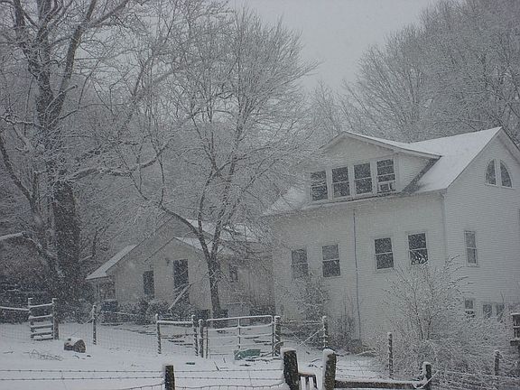 North side of house.