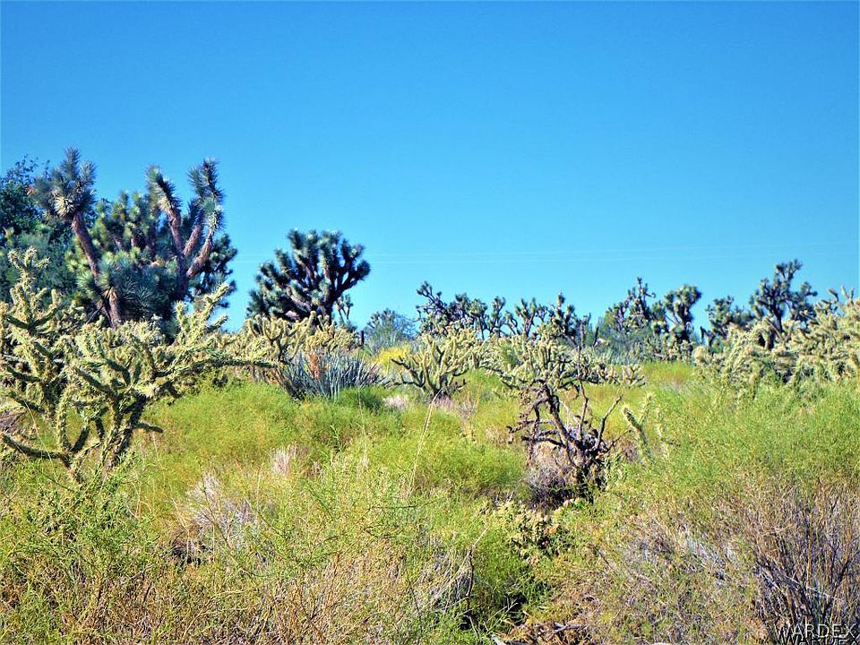 1st image of 000 SCENIC Drive