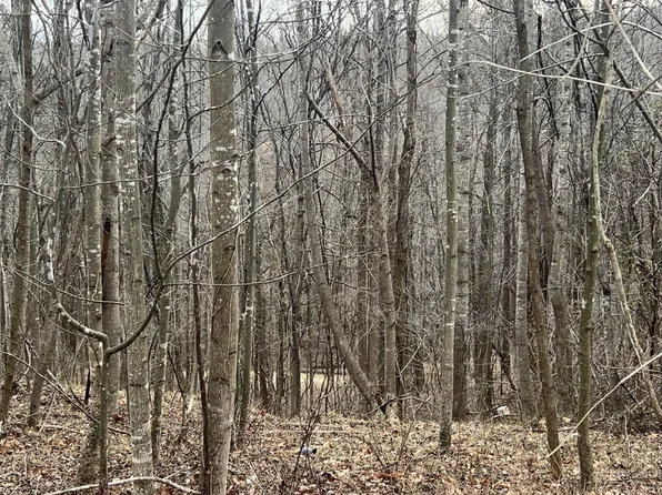 1 Bandy Mill Rd Lot 1, Hardy, VA 24101