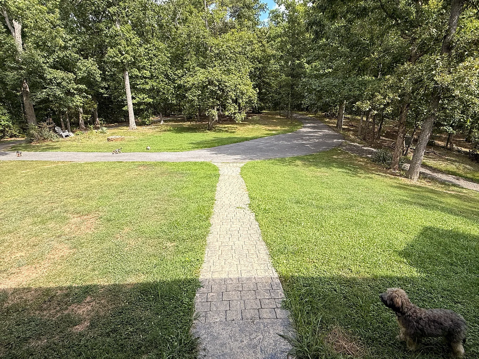 3 bed, 1800 sqft, $3,200 — Photo 3
