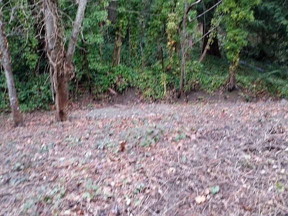 4th image of 9060 NE 117th Pl