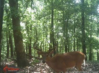 0 Coelleda School Rd, Roach, MO 65787