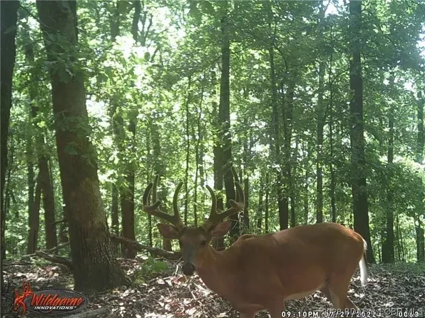 0 Coelleda School Rd, Roach, MO 65787