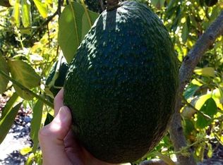 00 Via Vaquero, Temecula, CA 92590