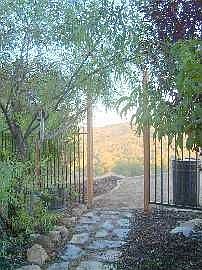 garden in front yard