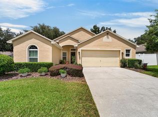3132 BEAVER POND TRAIL, VALRICO, FL 33596