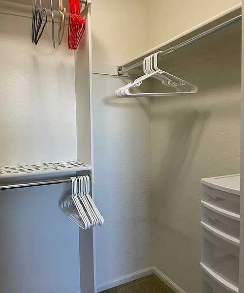 Master Closet 2