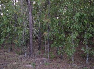 0 SW 135th Ave, Dunnellon, FL 34432