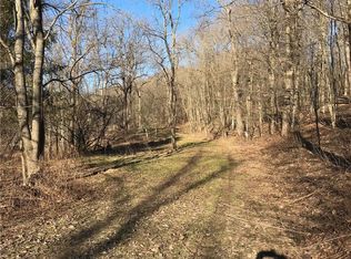 8381 Canadice Rd, Springwater, NY 14560