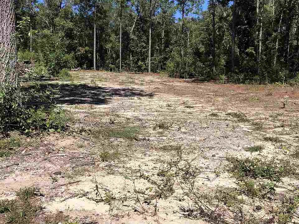 2nd image of Oscar Harvey Rd