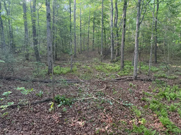 1672 Besstown Rd, Beersheba Springs, TN 37305