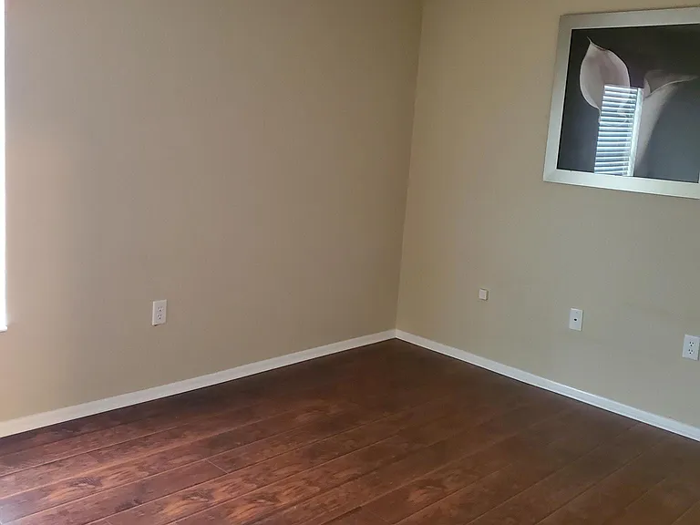 14317 Hanging Moss Cir #201 — Photo 5