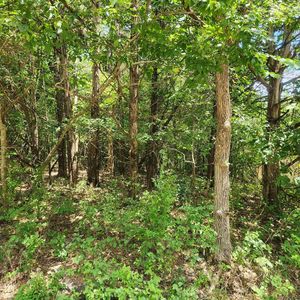 L-43-B Cochise Rd #14, Cherokee Village, AR, 72529