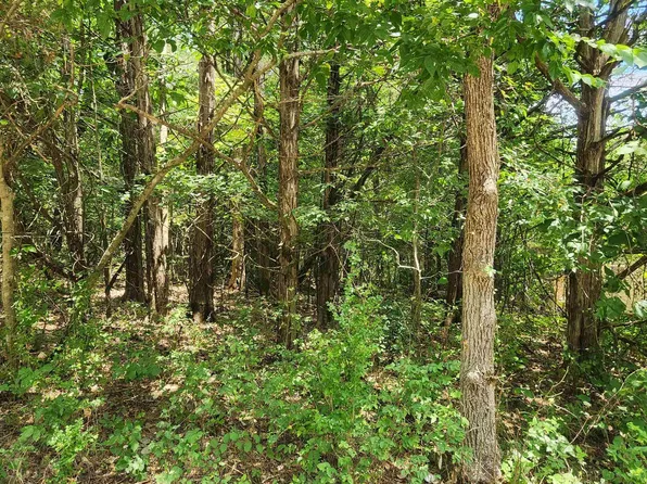 L-43-B Cochise Rd #14, Cherokee Village, AR 72529