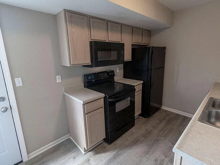3927 Snowy Owl Dr — Photo 6