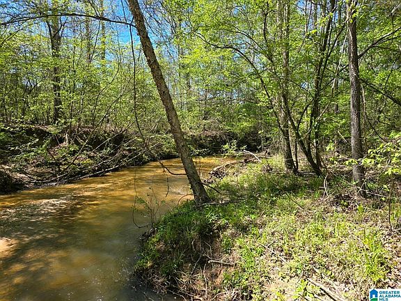 3rd image of 0 State Highway 82
