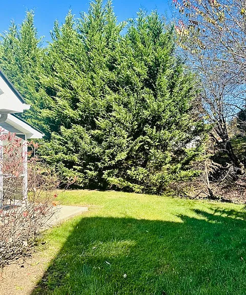 50 Grove End Rd — Photo 11