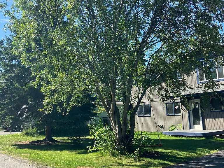 11530 Echo St — Photo 3
