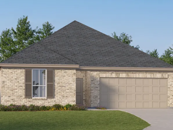 Frey Plan, Shaded Tree : Classic Collection