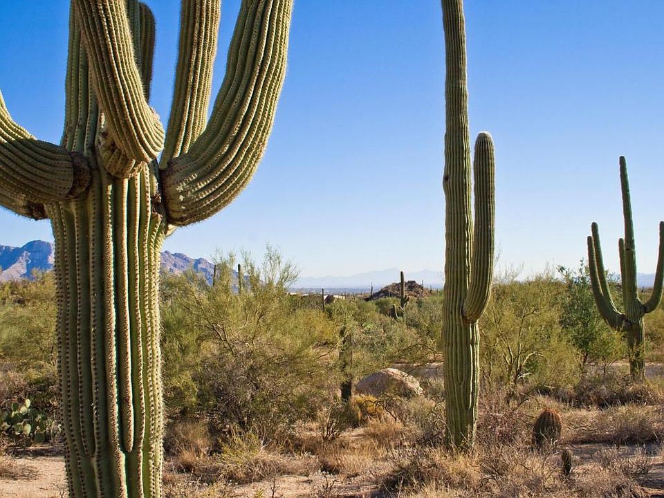 1st image of 1133 W Tortolita Mountain Cir