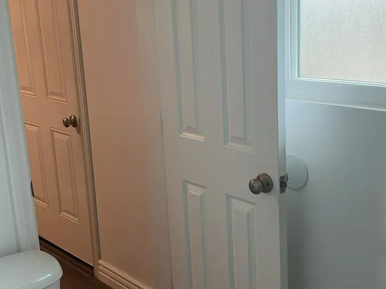 Deodar Cir — Photo 11