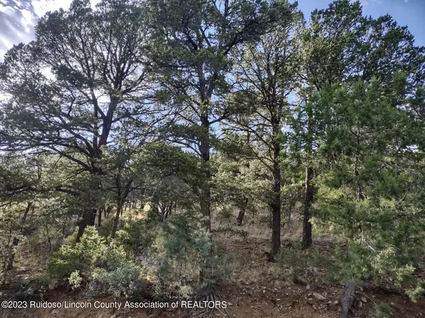 L9 Stable Rd, Alto, NM 88312