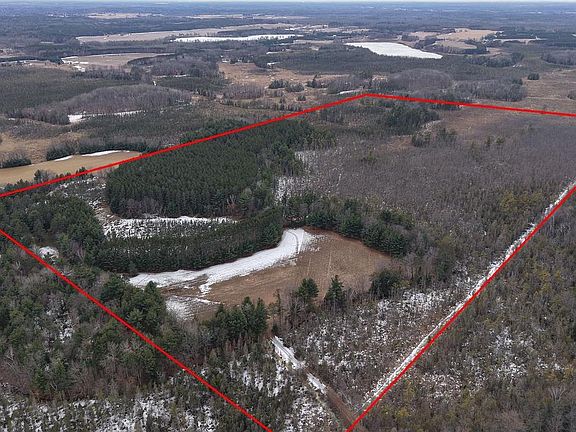 3rd image of 80 AC King Lane Acres