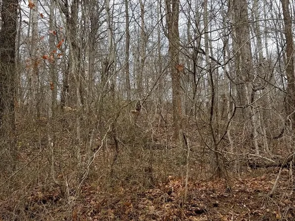 2634 Hickman Hollow Rd, Shawsville, VA 24162