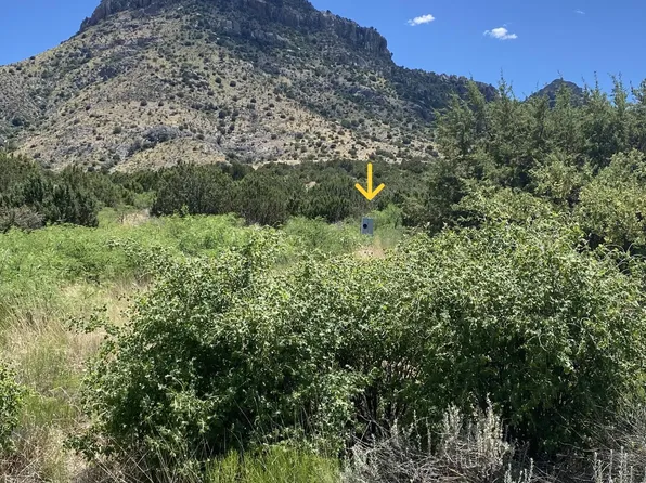 TBD S Wandervogel Way -- #A, Portal, AZ 85632