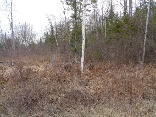 128 Custer Rd, Alpena, MI 49707