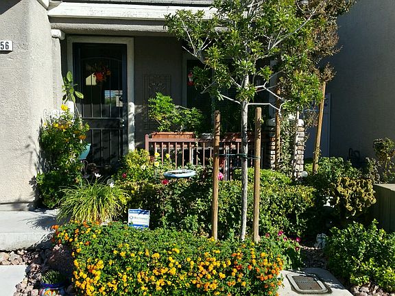 5th image of 5556 Andes Mountain Ave