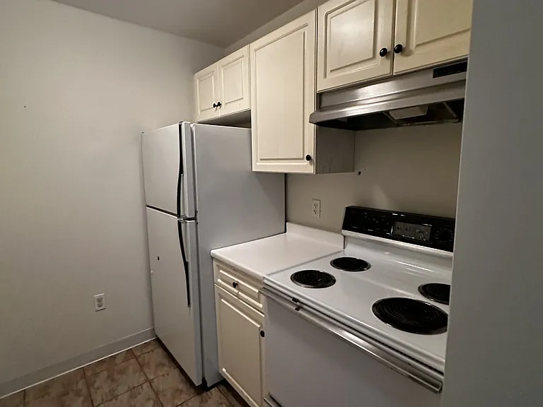 387 Commonwealth Ave #B4D — Photo 2