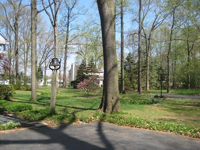 2nd image of 343 Royal Ave