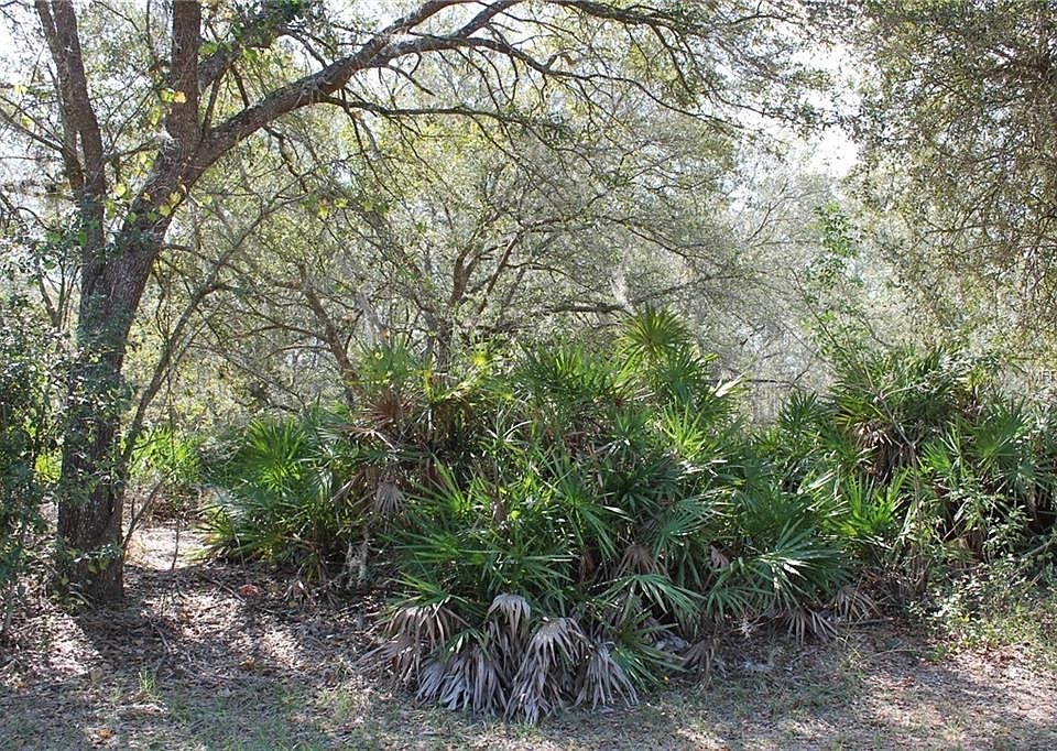 1st image of 1003 Orchid Dr