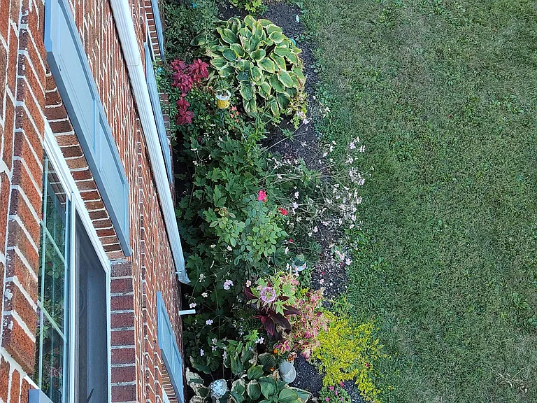 Nice Landscaping