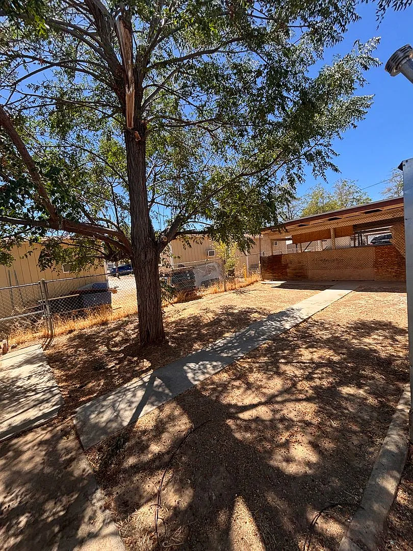 P9 — Photo 3