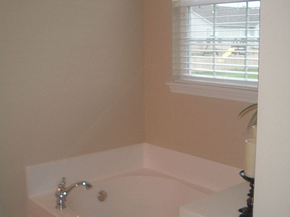 Master bath garden tub